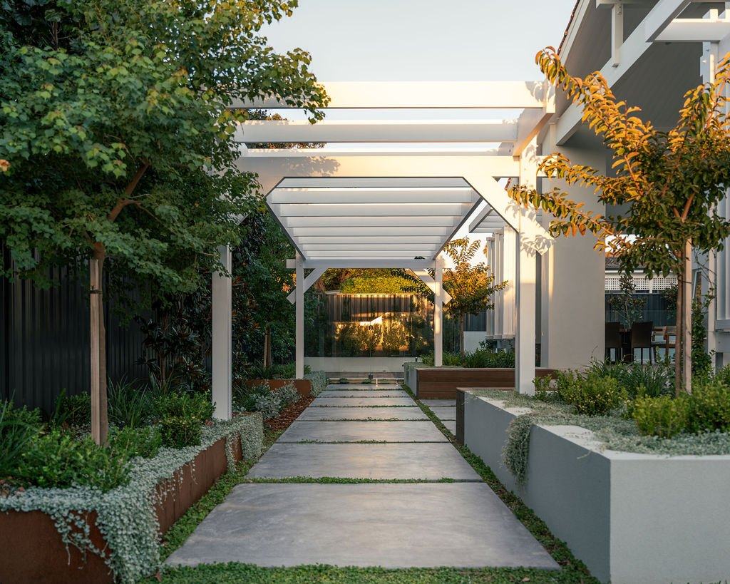 White pergola over a path of large concrete pavers set in groundcover, with corten and rendered planters