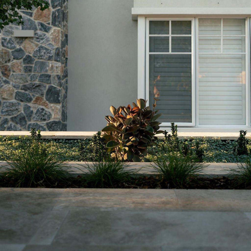 Rendered garden walls and paired trees in the front forecourt at sunset