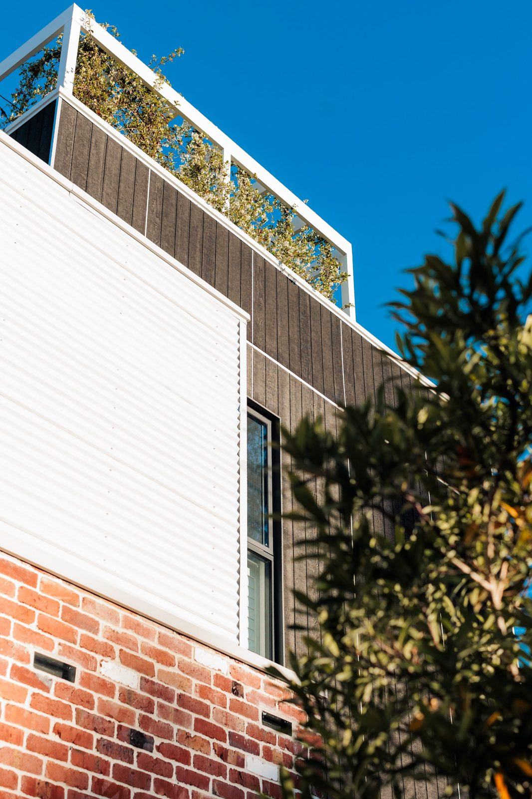 Recycled brick, white corrugated cladding and charred timber rising to a planted rooftop pergola