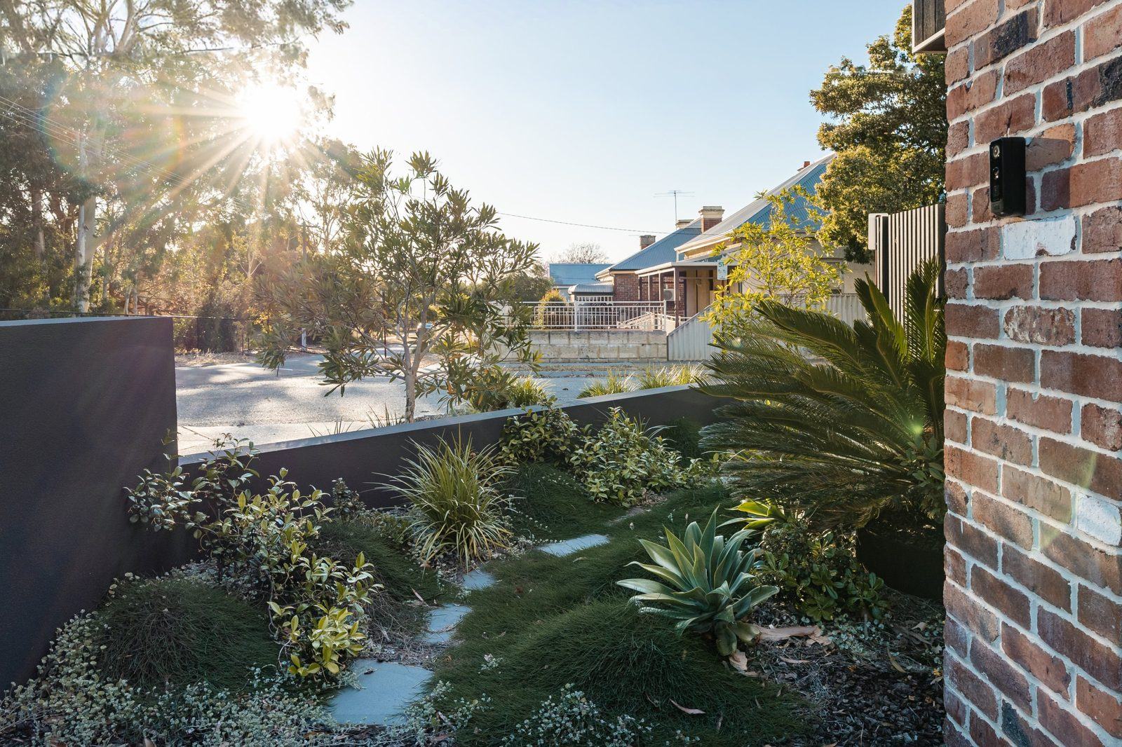 Front garden of groundcover, stepping stones, cycad and agave behind a dark rendered wall