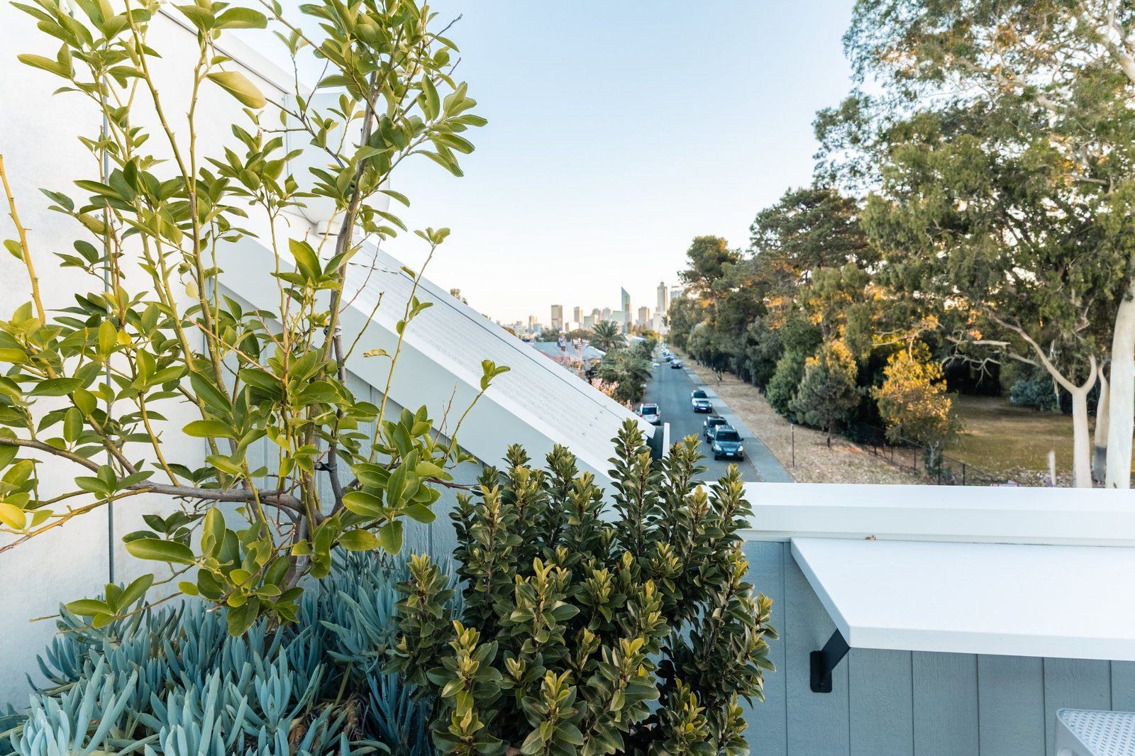 Rooftop planting with the Perth city skyline at the end of a tree-lined street