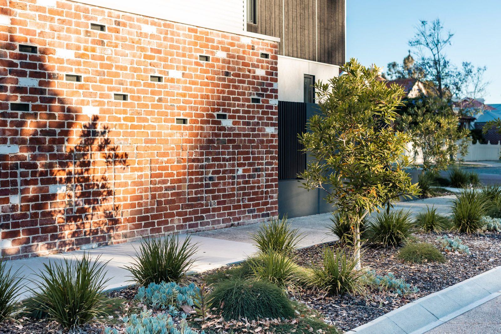 Verge of grasses and blue succulents along a recycled brick wall