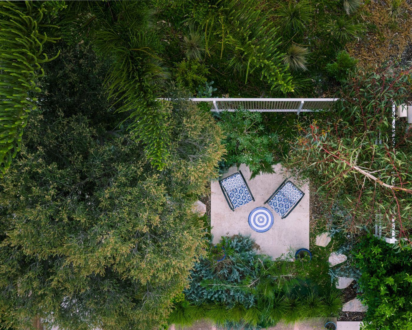 Overhead view of a stone seating pad surrounded by dense native planting and trees