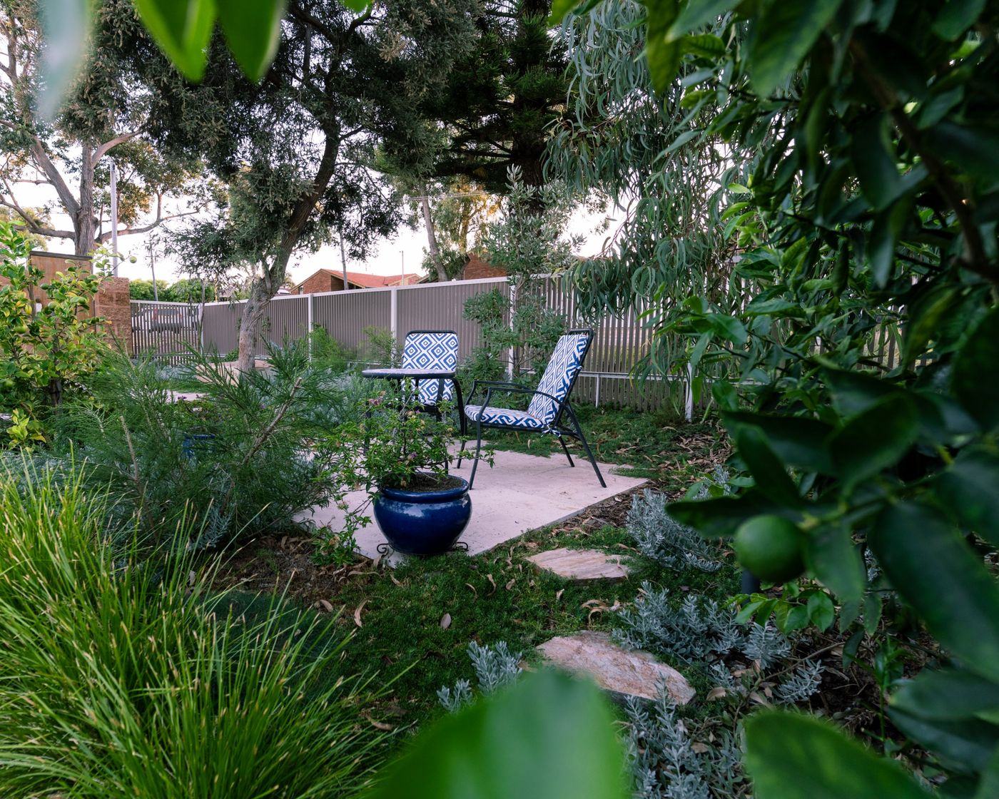 The seating nook seen through citrus leaves and grasses