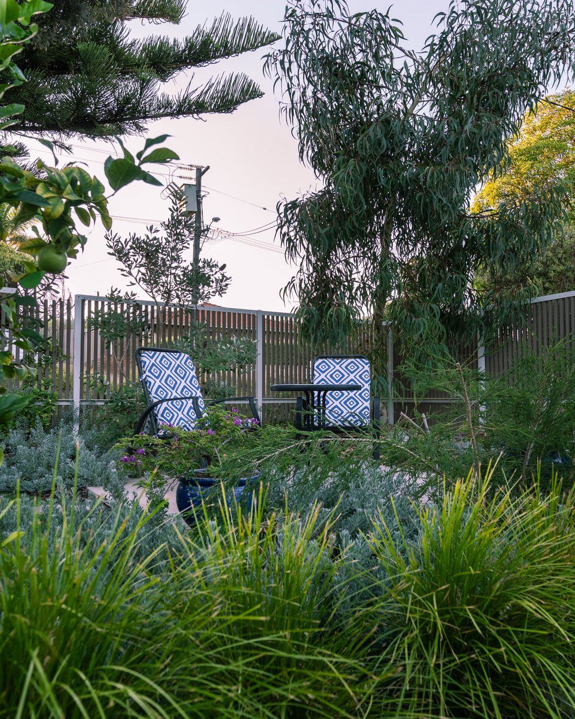 Two patterned outdoor chairs on a stone pad under a eucalypt, reached by stepping stones