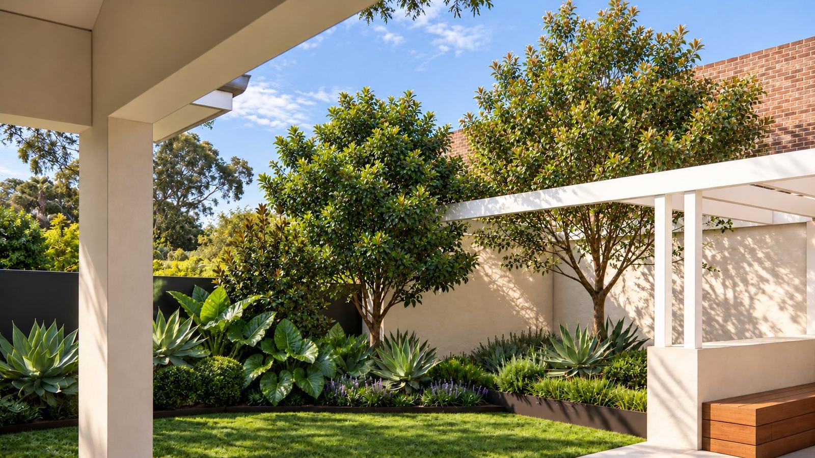 Rear garden of agave, elephant ears and magnolias against a rendered wall beside a white pergola